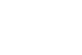 medal icon